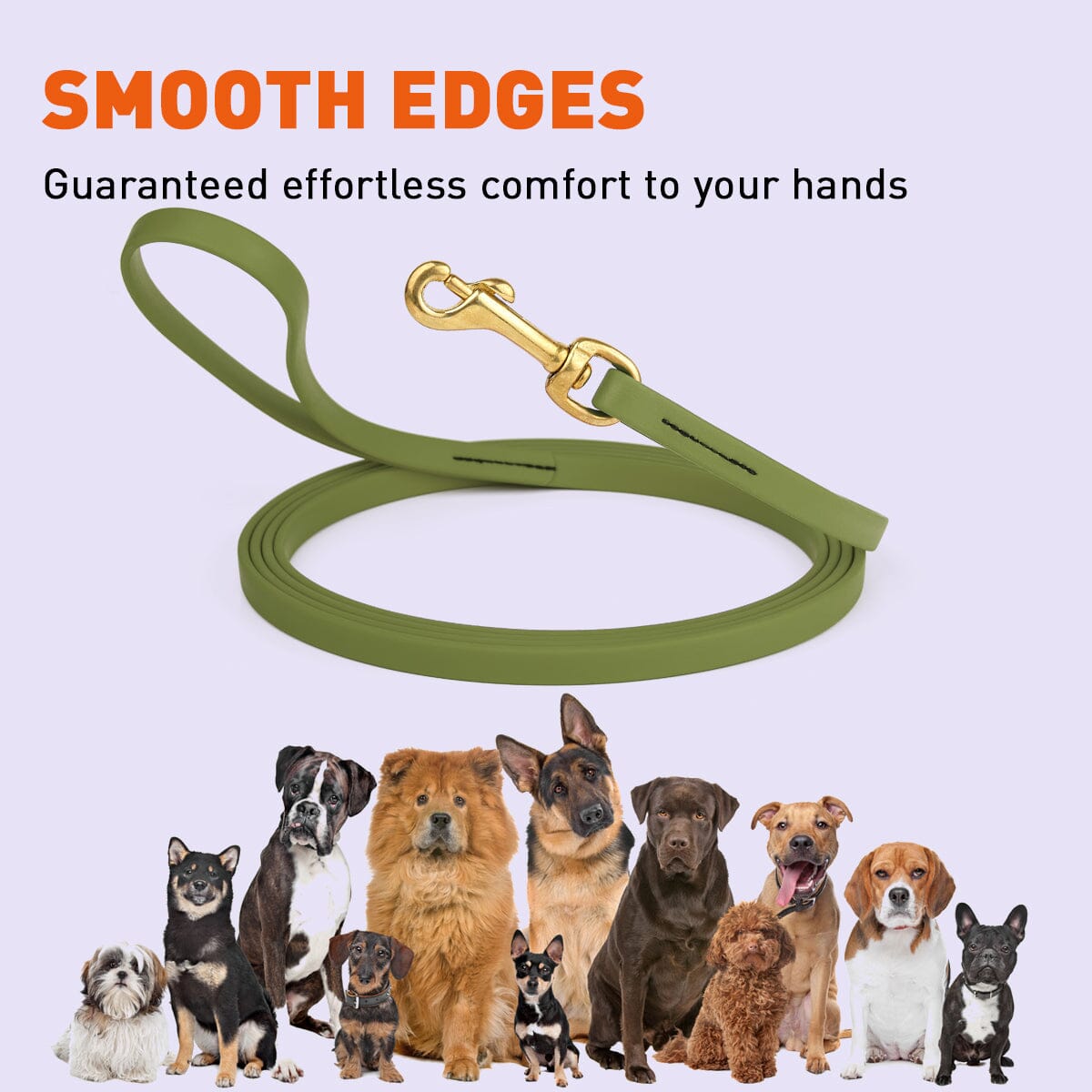 Viper Biothane Long Line 33 ft Lead with Brass Hardware Dog Leashes Dogline