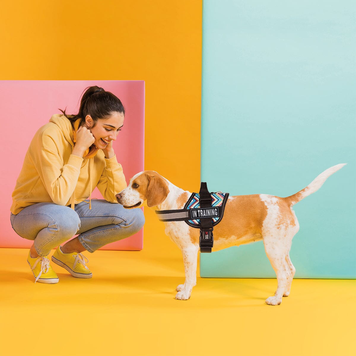 Dogline 3D Rubber Removable Patches for Dog Harness and Vest Dog Patches Dogline