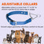 Biothane Adjustable Martingale Collar with Metal Buckle Martingale Dog Collar Dogline