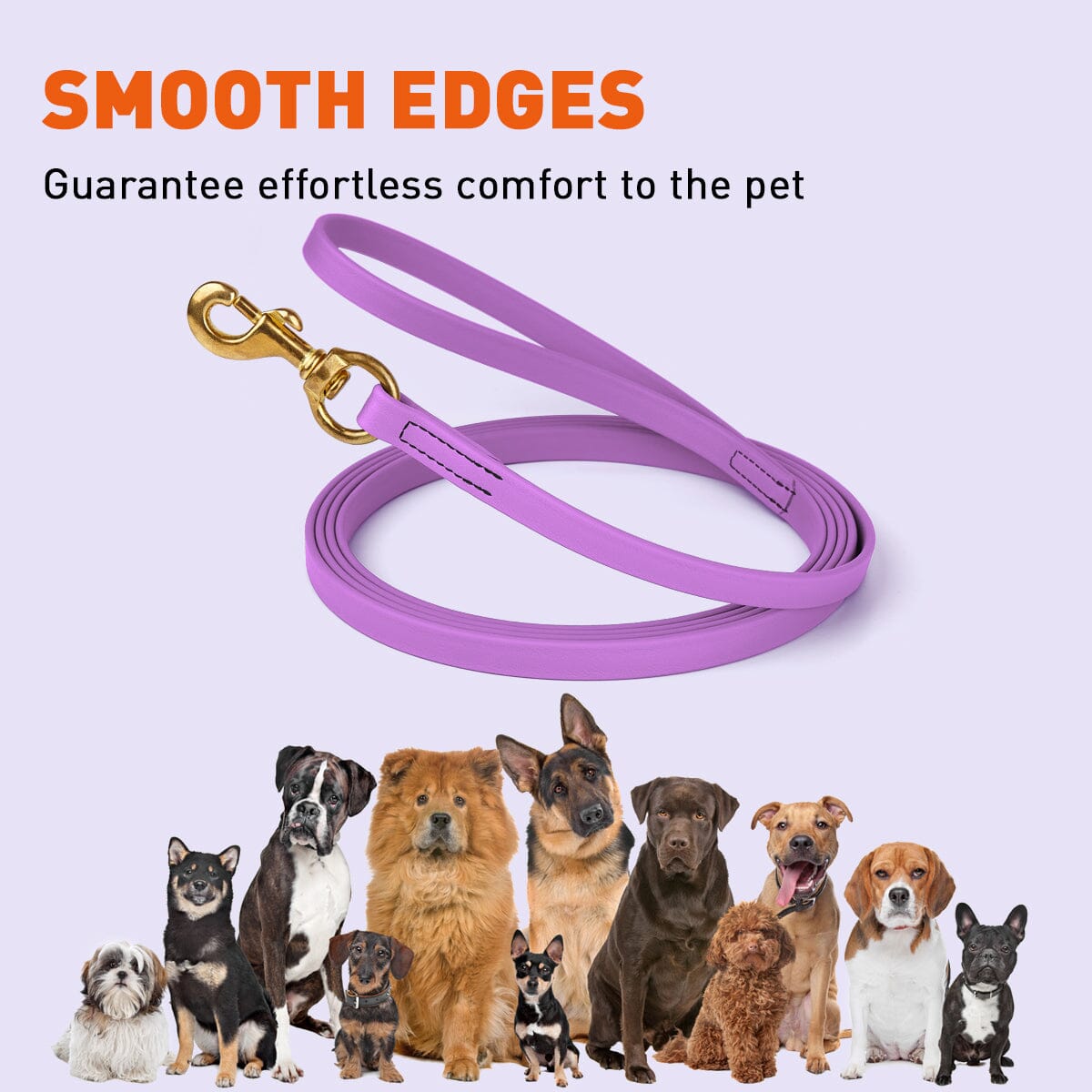 Viper Biothane Long Line 10 ft Lead with Brass Hardware Dog Leashes Dogline