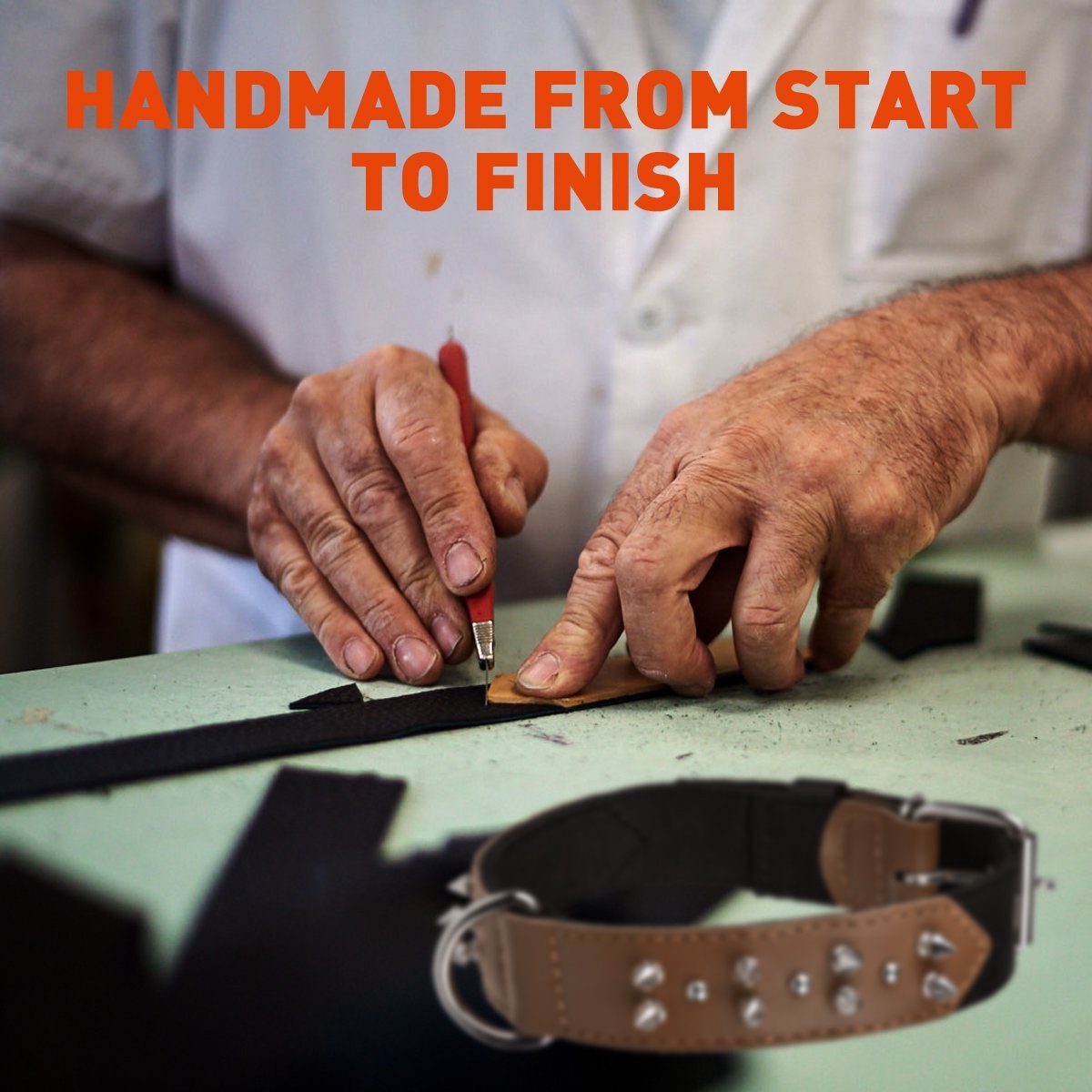 Leather + Nylon Spiked Dog Collar Dog Collar Dogline