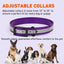 Biothane Translucent Reflective Dog Collar Dog Collar Dogline