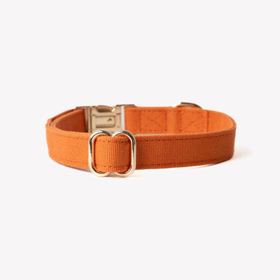 'Terracotta' - Canvas Dog Collar Canvas Collar FURLOU