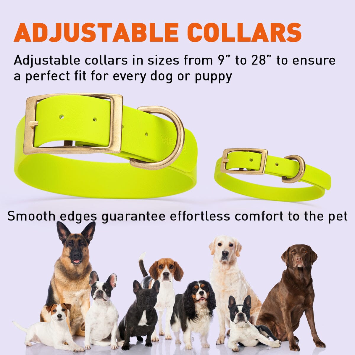 Viper Biothane Waterproof Dog Collar - Brass Hardware - 1.5in Wide - Size L (16" - 20") Dog Collar Dogline