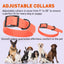 Biothane Waterproof Dog Collar - Small (12 to 15 inches) Dog Collar Dogline