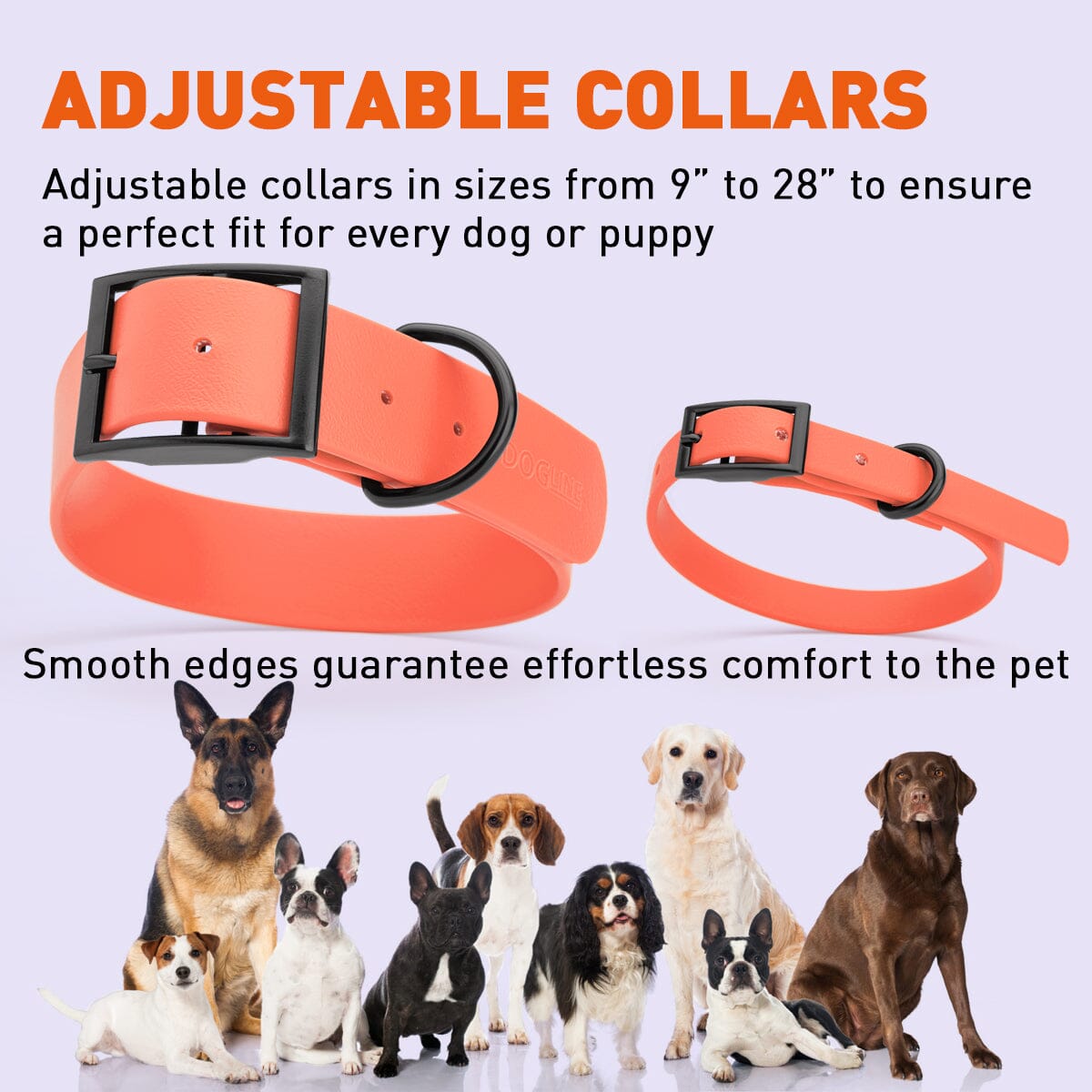 Biothane Waterproof Dog Collar - Small (12 to 15 inches) Dog Collar Dogline