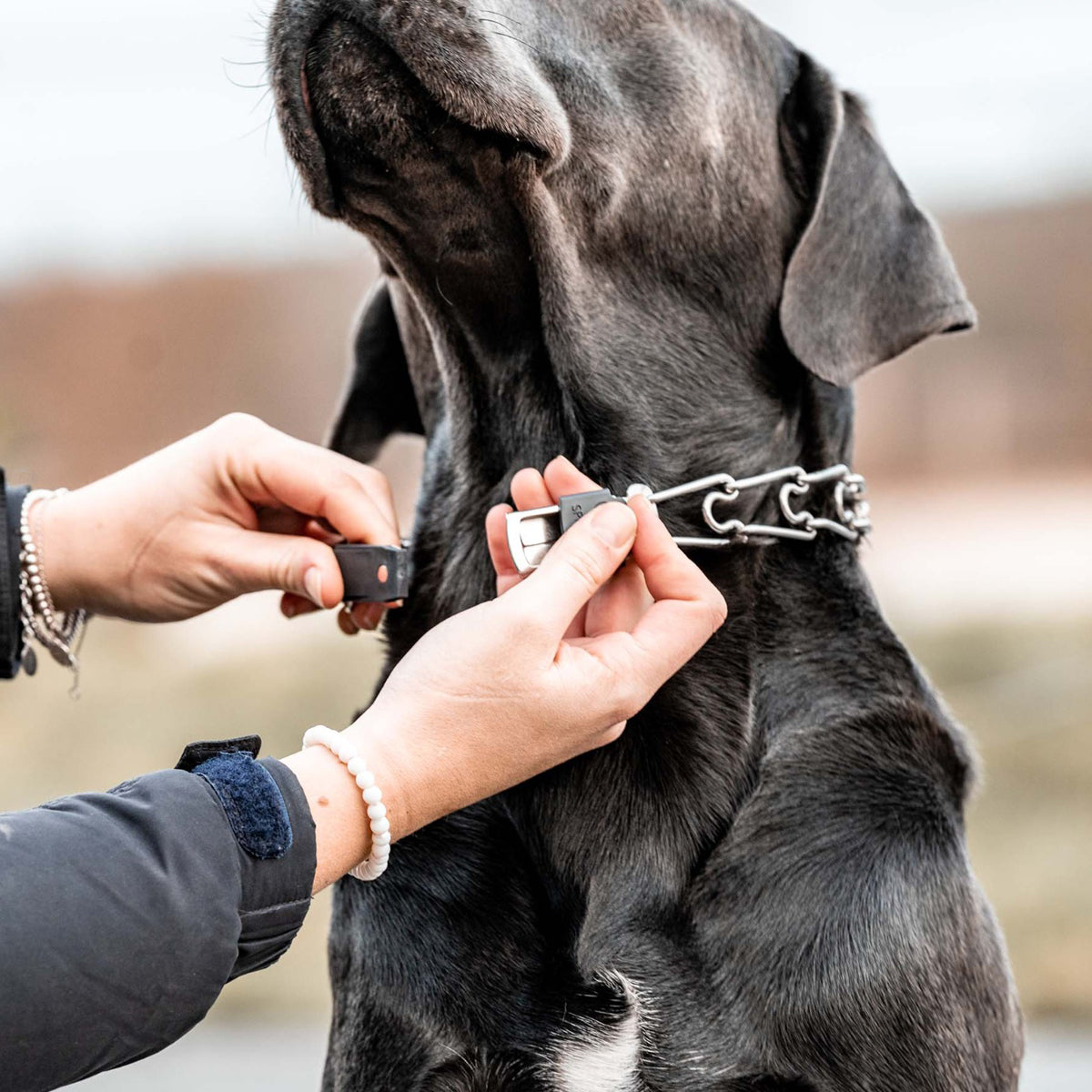 Herm Sprenger - ClicLock Quick Release Buckle - Stainless Steel Dog Training Collar Dogline