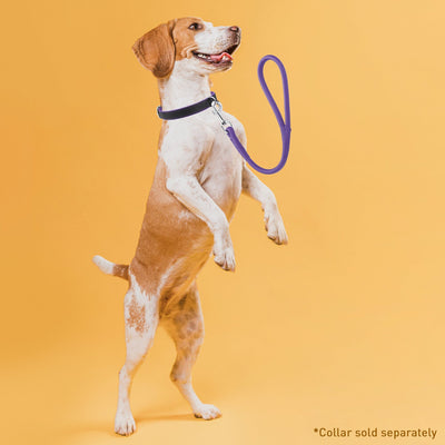 Soft Leather Round Traffic Lead Dog Leashes Dogline