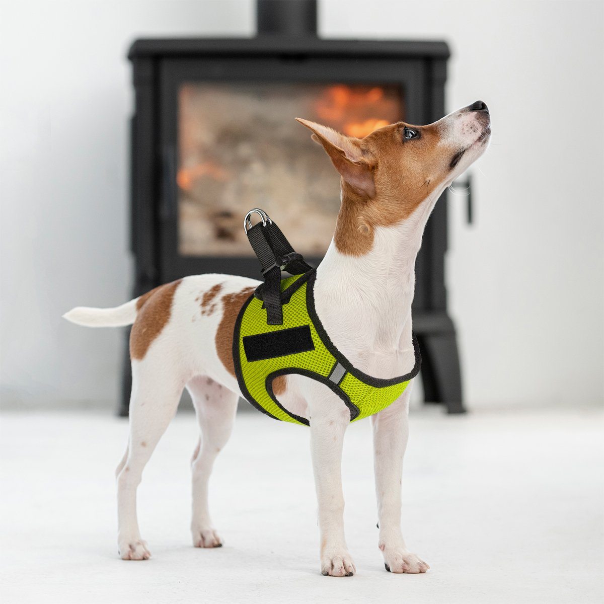 York Mesh Harness + Built-in Hook & Loop Fasteners Dog Harnesses Dogline
