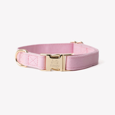 'Pink' - Canvas Dog Collar Canvas Collar FURLOU