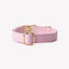 'Pink' - Canvas Dog Collar Canvas Collar FURLOU