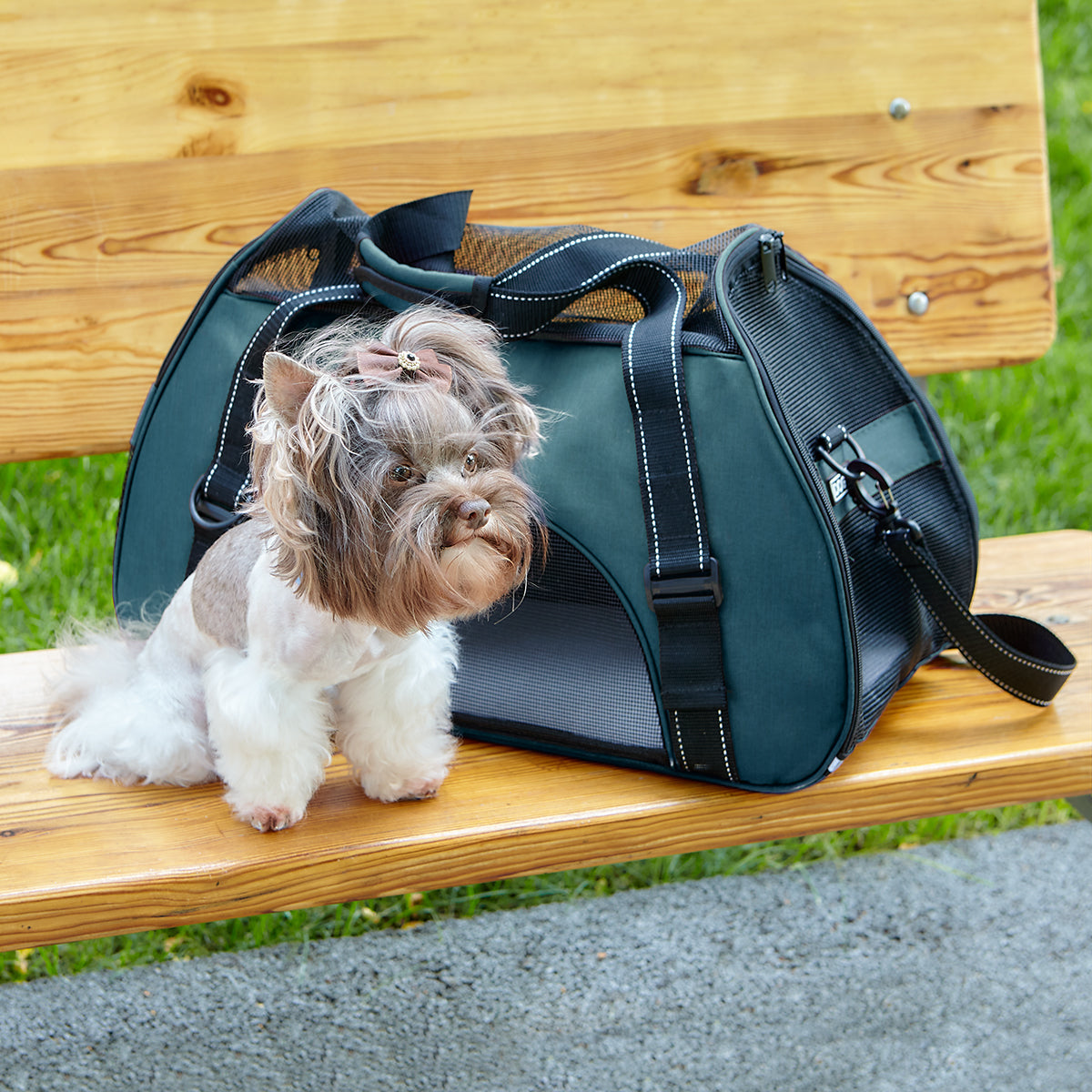 Pet Carrier Bag Pet Carriers Dogline