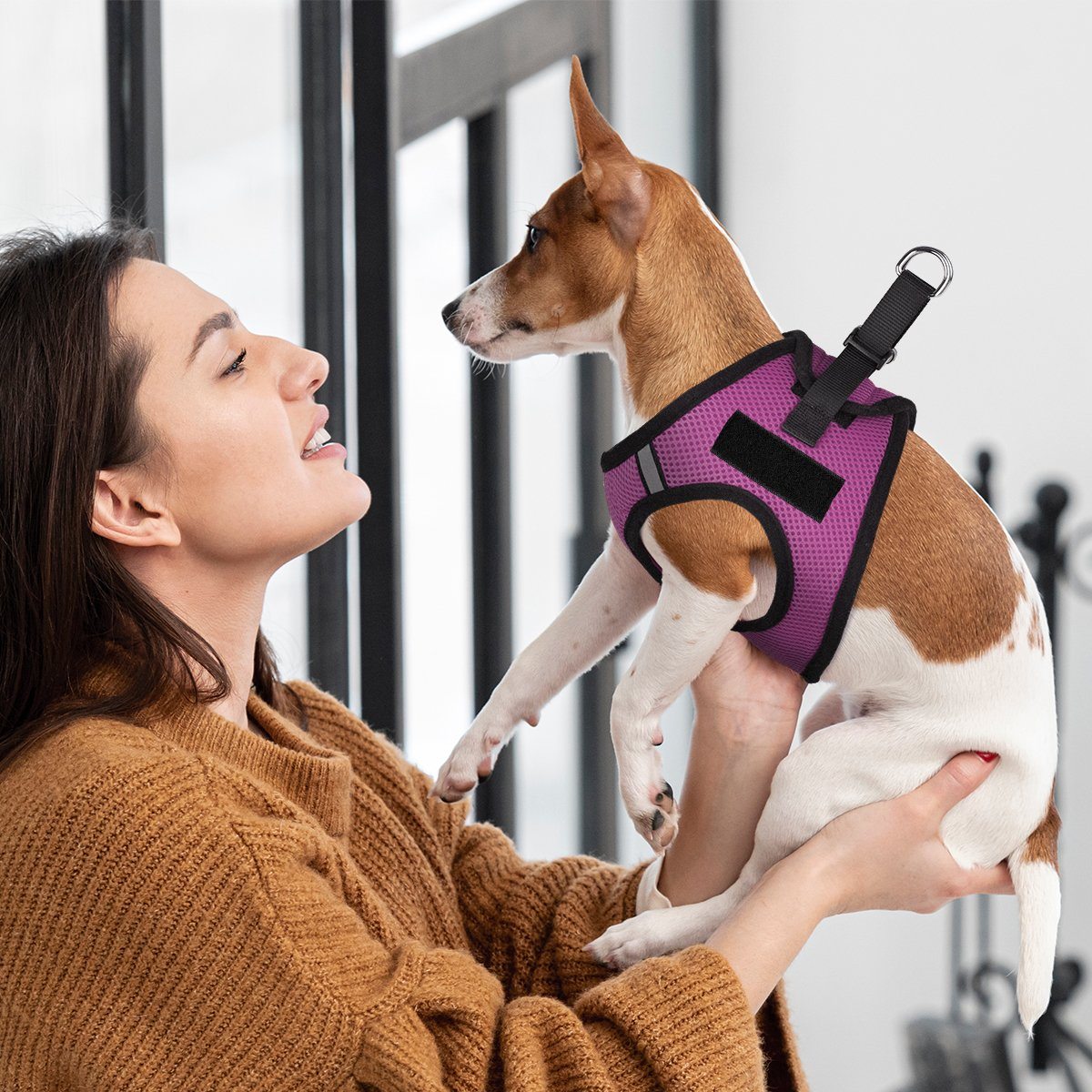 York Mesh Harness + Built-in Hook & Loop Fasteners Dog Harnesses Dogline