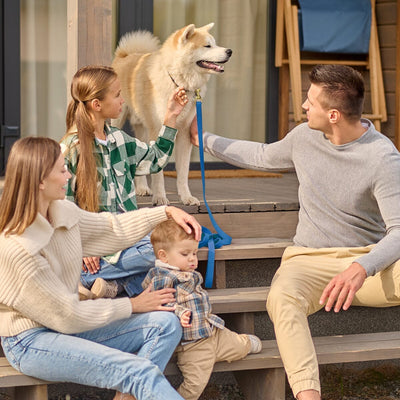 Viper Biothane Working Lead 6 ft Dog Leashes Dogline