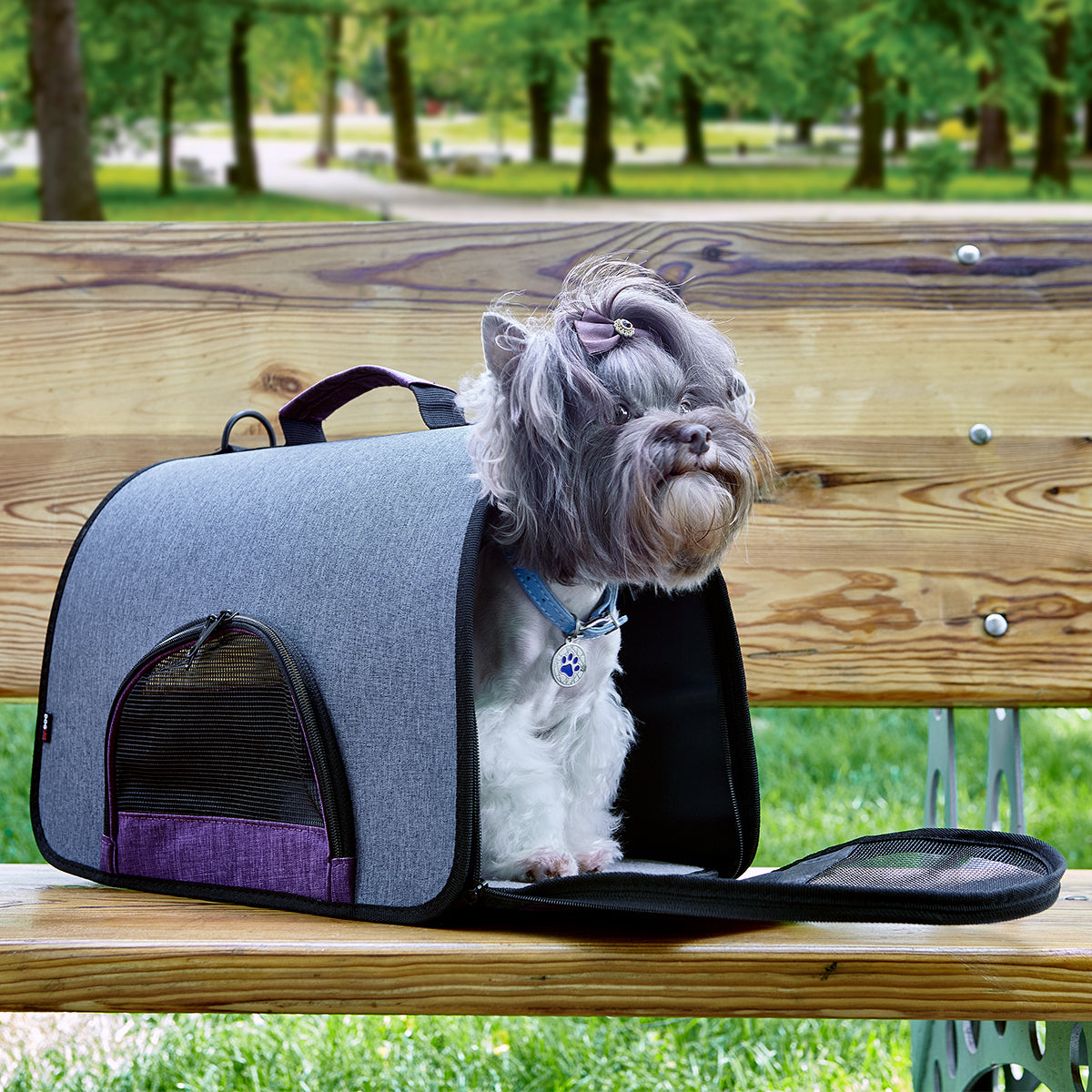 Dual Color Collapsible Pet Carrier Pet Carriers Dogline