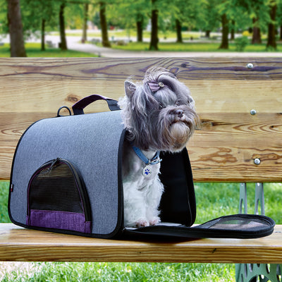 Dual Color Collapsible Pet Carrier Pet Carriers Dogline