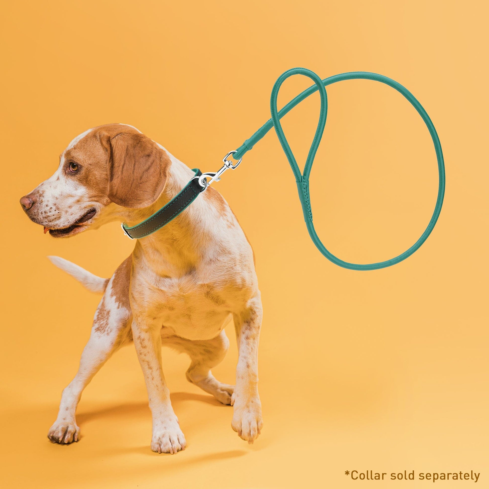 Soft Leather Round Dog Lead Dog Leashes Dogline