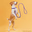 Soft Leather Round Dog Lead Dog Leashes Dogline