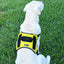 Dogline Quest Multi-Purpose No Pull Dog Harness Dog Harnesses Dogline