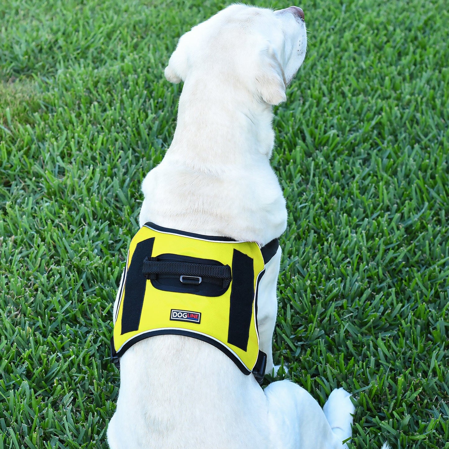 Dogline Quest Multi-Purpose No Pull Dog Harness Dog Harnesses Dogline