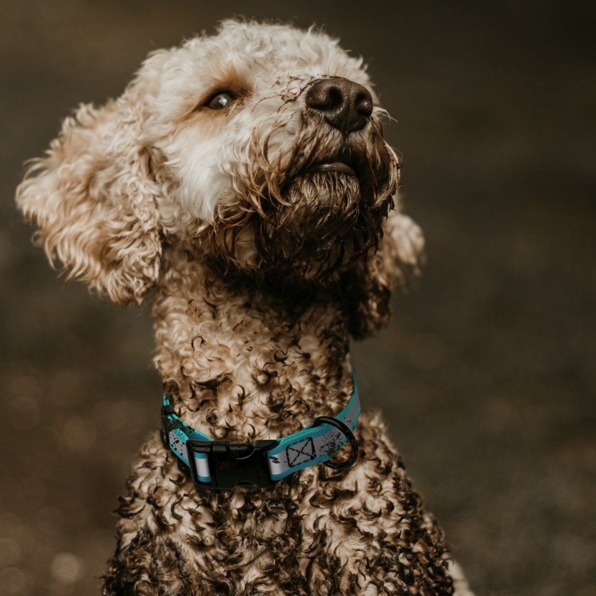 Dogline Biothane Reflective Dog Collar with Quick Release Buckle Dog Collar Dogline