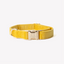 'Yellow' - Velvet Dog Collar Velvet Collar FURLOU