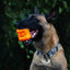 Jack O' Lantern Dog Toy - Durable Halloween Chew Toy for Large Dogs | USA Made Rubber Dog Toys SodaPup/True Dogs, LLC