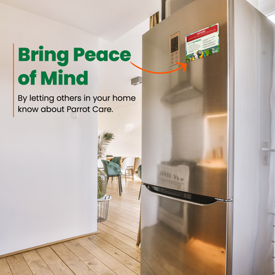 Parrot Care Fridge Magnet Merchandise Bird Street Bistro