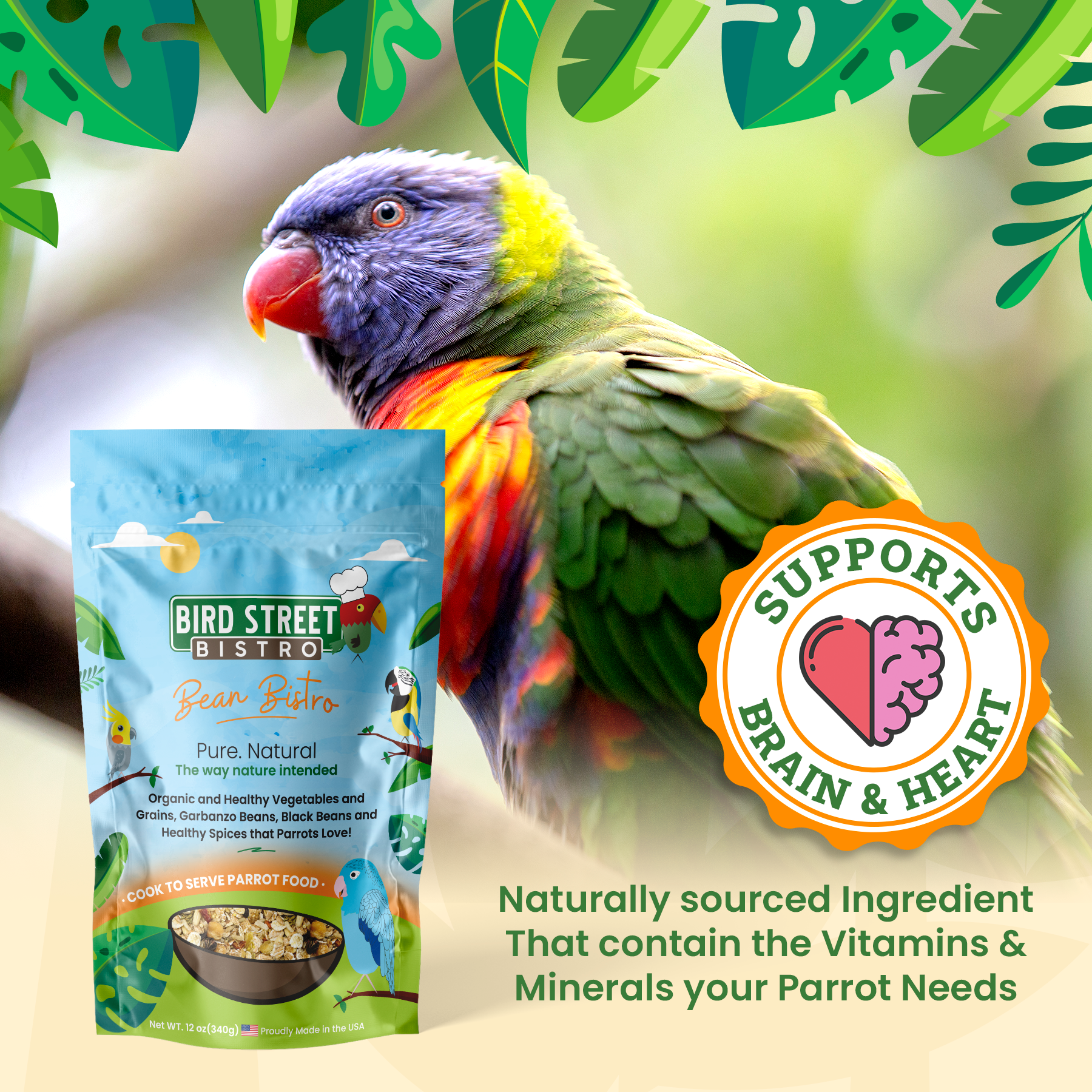 Bean Bistro Feast on the Fly Parrot Food Bird Street Bistro