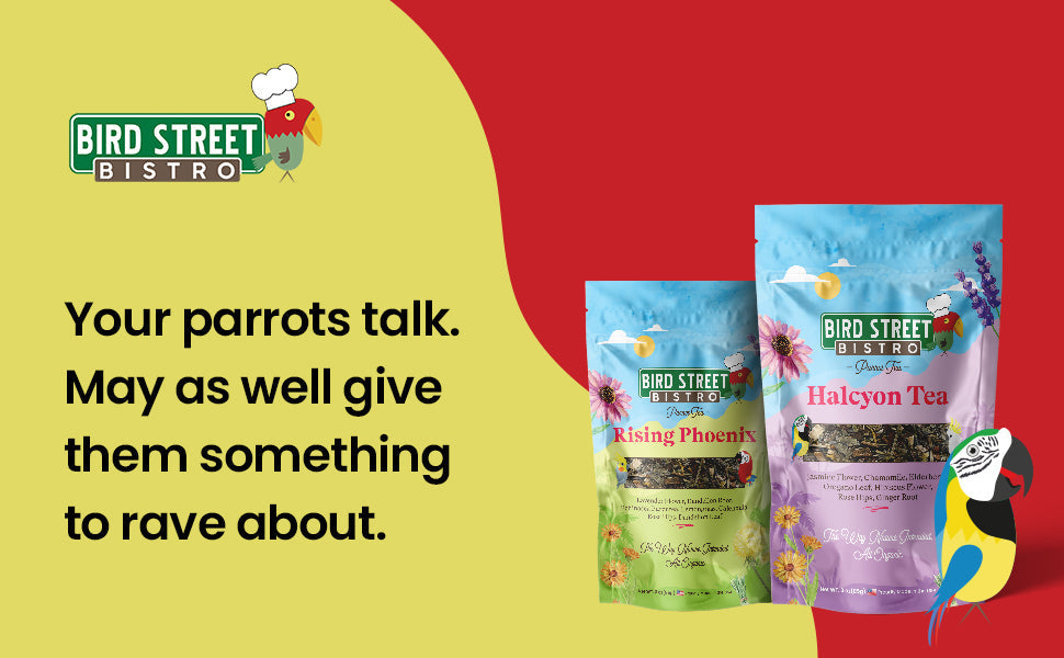 Parrot Tea Bundle Pack Parrot Tea Bird Street Bistro