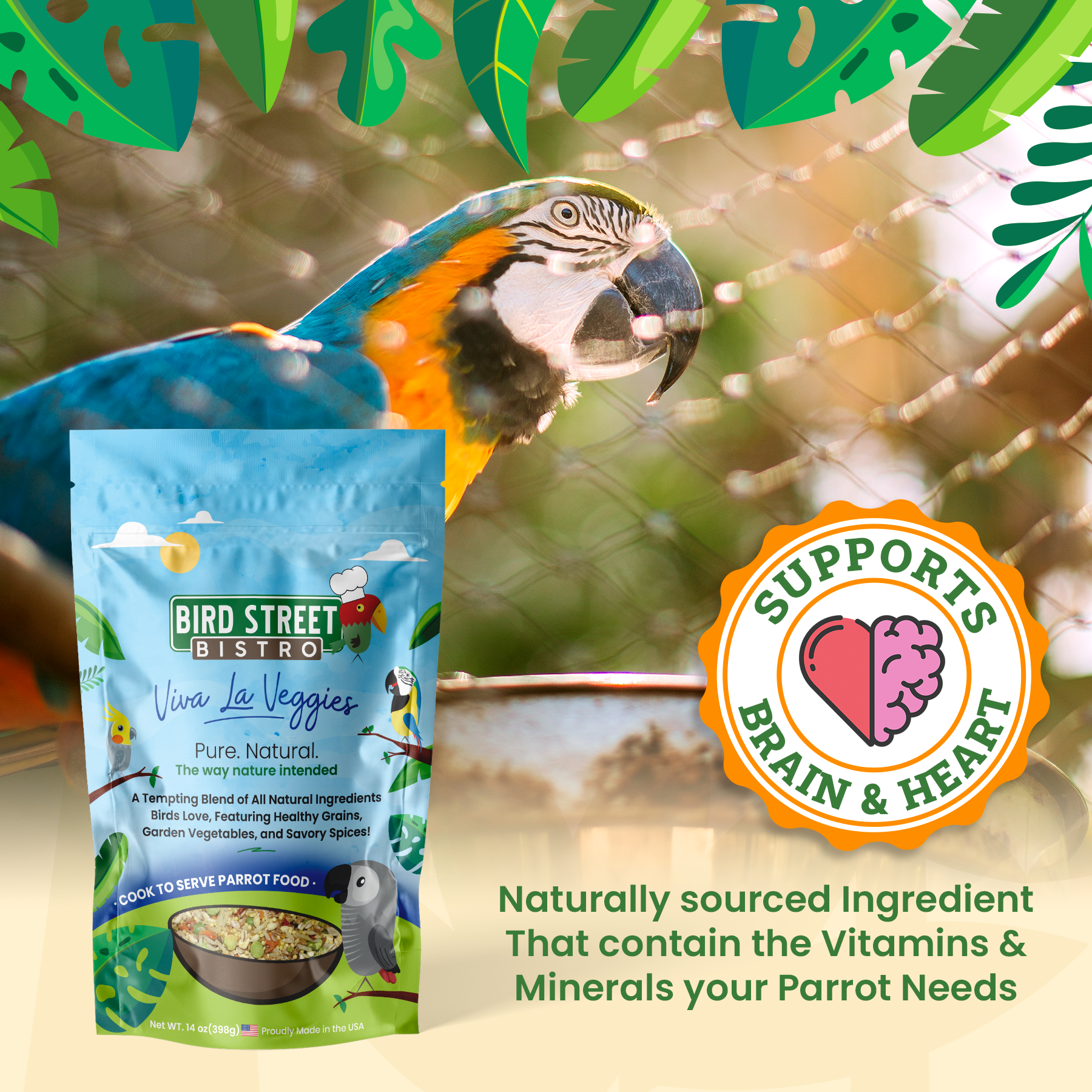 Viva La Veggies Parrot Food Bird Street Bistro