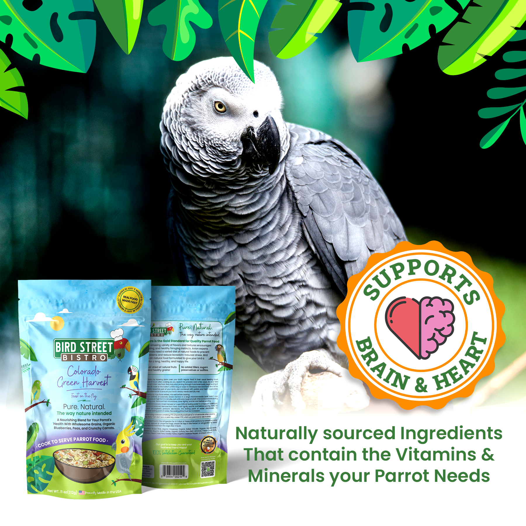 Colorado Green Harvest- Feast on The Fly Parrot Food Bird Street Bistro