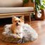 PupRug by Paw.com® Faux Fur Orthopedic Dog Bed - Curve Charcoal Grey Dog Beds Paw