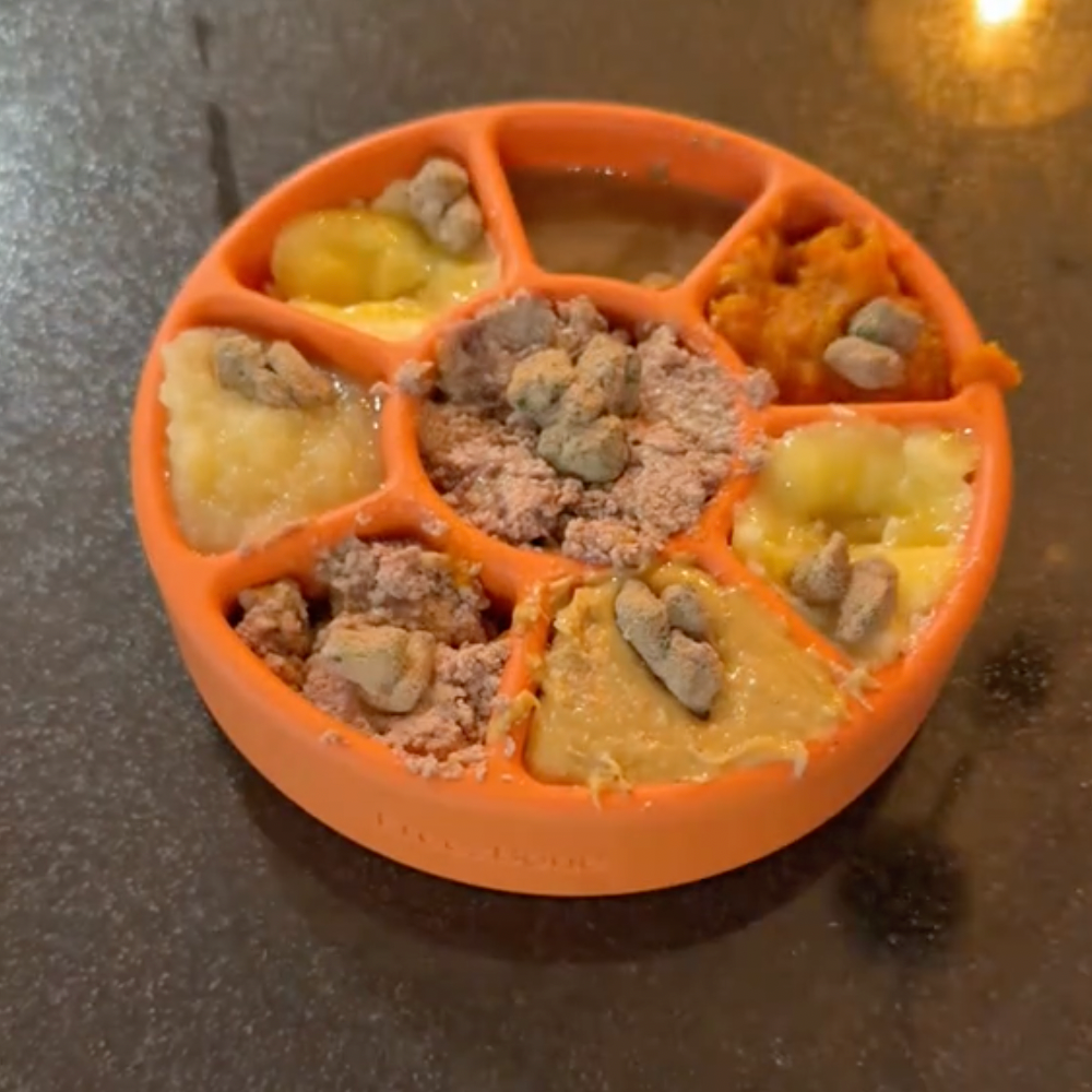 FreezWheel - Durable Interactive Chew Freezbone