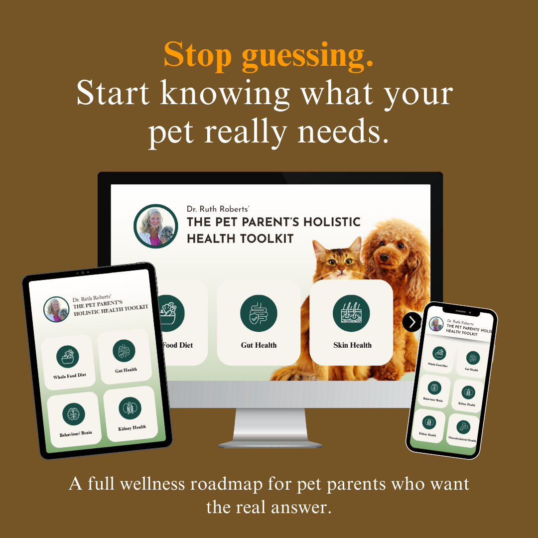 Whole Pet Wellness Academy: The Pet Parent Holistic Health Toolkit DIY Holistic Health Course Dr. Ruth Roberts