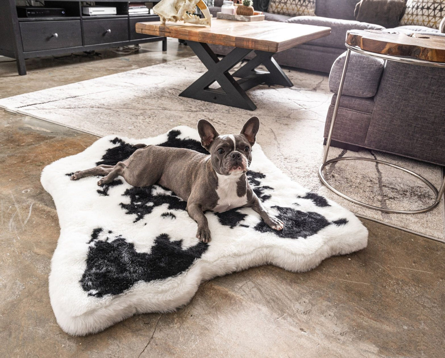 PupRug® Animal Print Memory Foam Dog Bed - Black Faux Cowhide Junior (40" L x 35" W) Dog Beds Paw.com