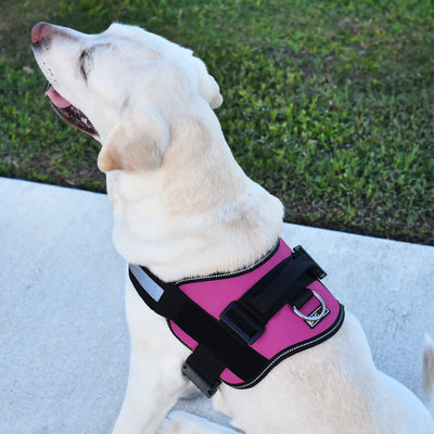 Unimax Multi-Purpose Dog Harness Dog Harnesses Dogline
