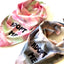 Adopt Me Tie Dye Dog Bandana Best Seller Dog Bandana Happy Tails Outfitters