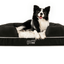 PupLounge™ Memory Foam Dog Bed Cover - Charcoal Grey (Bed Not Included) - Small Dog Bed Cover Paw.com