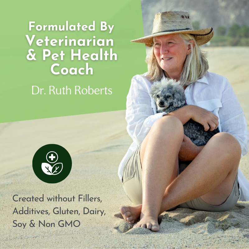 Holistic Total Body Support – Multivitamin & Glandular Support for Dogs and Cats Vitamins & Supplements Dr. Ruth Roberts
