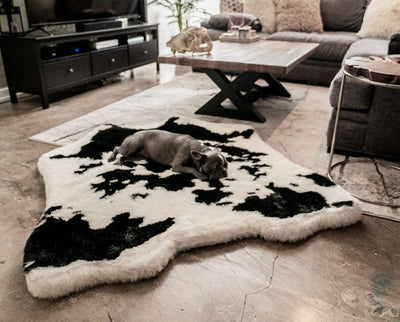 PupRug® Animal Print Memory Foam Dog Bed - Black Faux Cowhide Original (55" L x 50" W) Dog Beds Paw.com