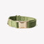 'Green' - Velvet Dog Collar Velvet Collar FURLOU