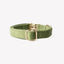 'Green' - Velvet Dog Collar Velvet Collar FURLOU