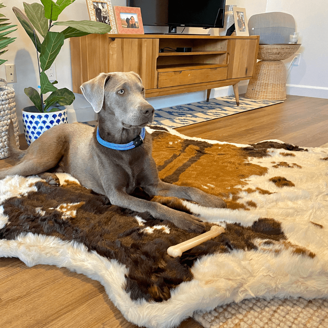 PupRug® Animal Print Memory Foam Dog Bed - Brown Faux Cowhide Dog Beds Paw.com