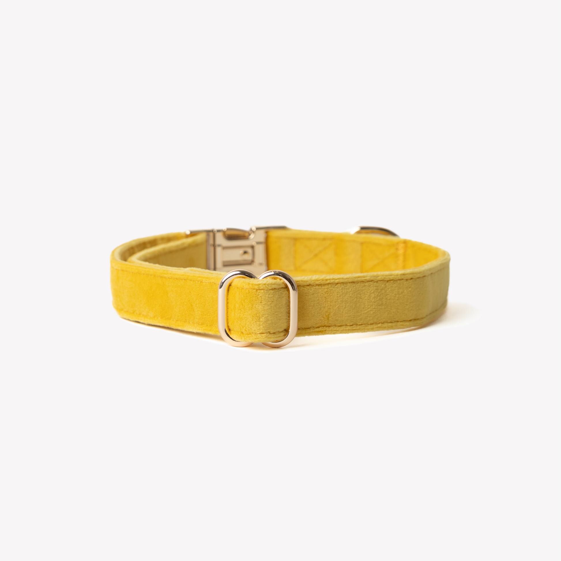 'Yellow' - Velvet Dog Collar Velvet Collar FURLOU