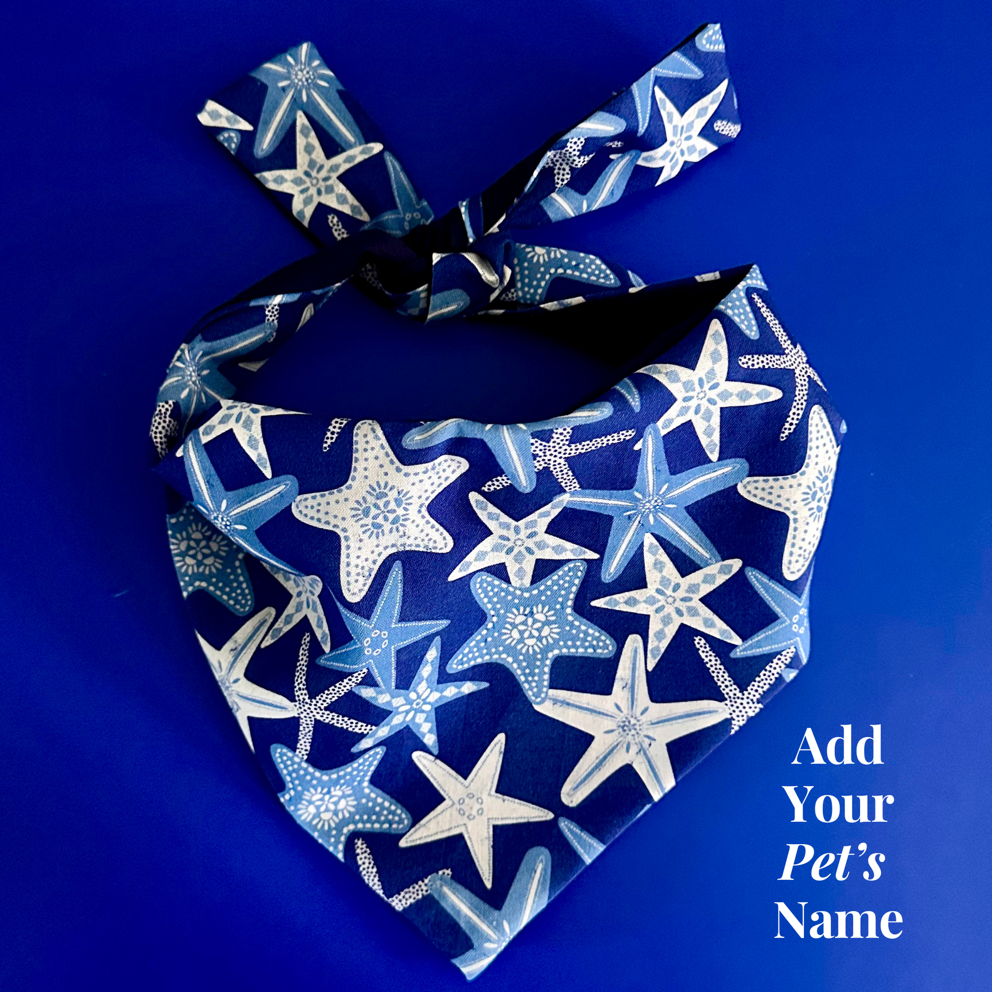 Starfish Dog Bandana Dog Bandana Happy Tails Outfitters