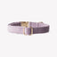 'Lilac' - Velvet Dog Collar Velvet Collar FURLOU