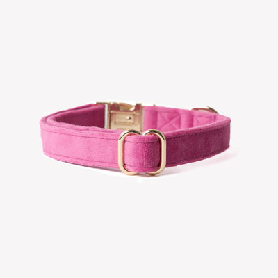 'Magenta' - Velvet Dog Collar Velvet Collar FURLOU