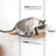 Dog Proof Cat Feeder - Wall-Mounted - Raised Elevated Natural Bamboo Charcoal Gray Canvas 16" Cat Hammock Catastrophic Creations