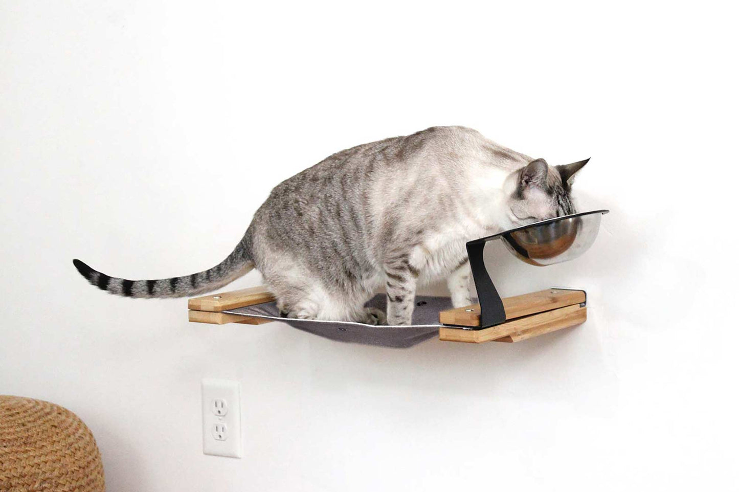 Dog Proof Cat Feeder - Wall-Mounted - Raised Cat Hammock Catastrophic Creations
